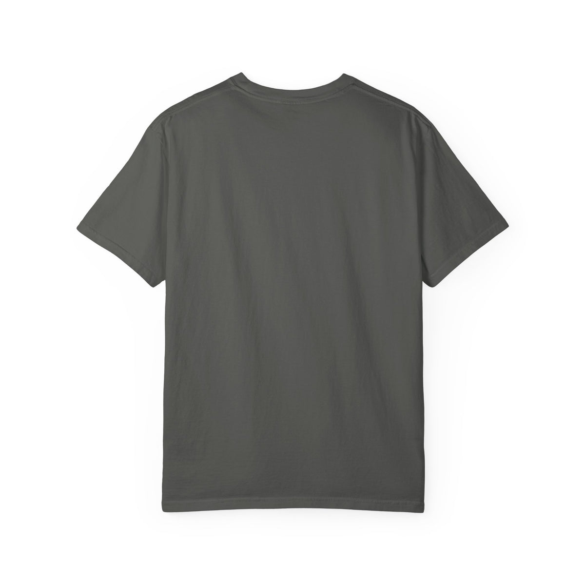 NO PLATE READERS - Garment-Dyed Tee